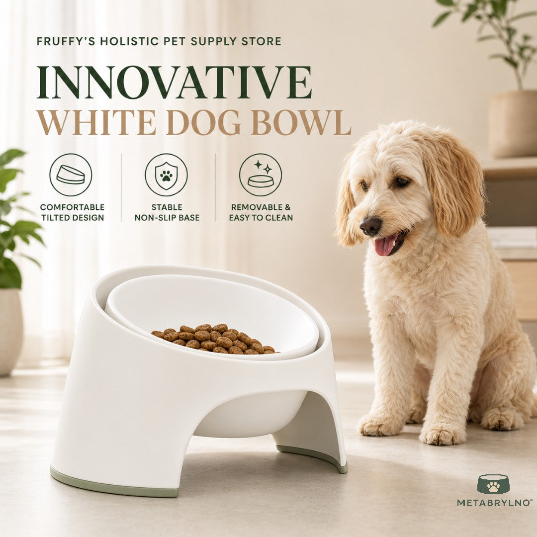 Fruffy’s Modern Elevated Tilted Dog Bowl with Removable Insert