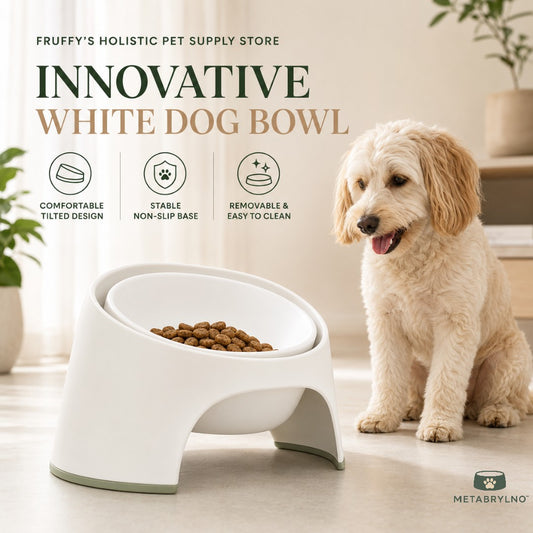 Fruffy’s Modern Elevated Tilted Dog Bowl with Removable Insert